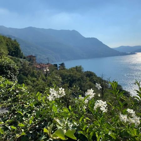 Apartment Casa Dono Il Lago Pognana Lario ภายนอก รูปภาพ