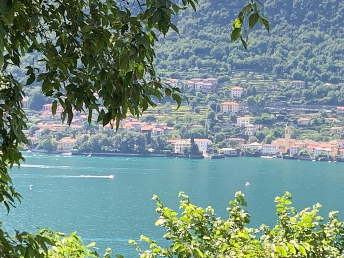 Apartment Casa Dono Il Lago Pognana Lario ภายนอก รูปภาพ