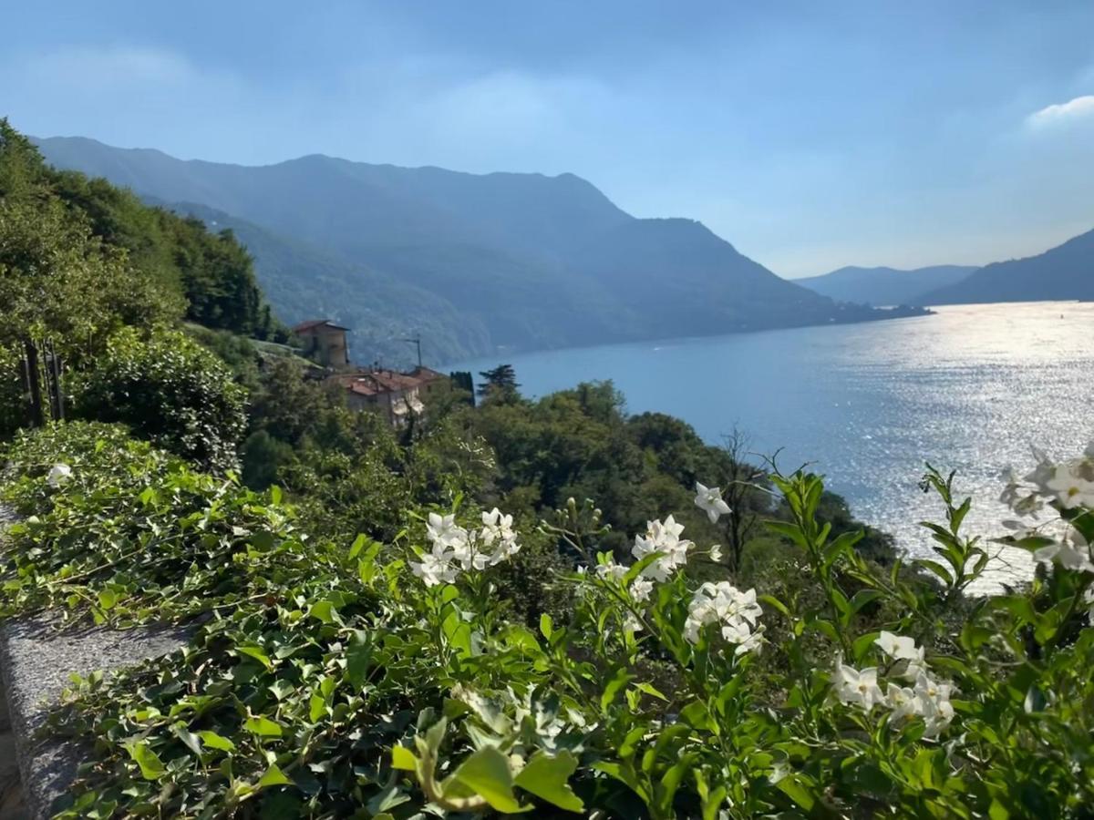 Apartment Casa Dono Il Lago Pognana Lario ภายนอก รูปภาพ