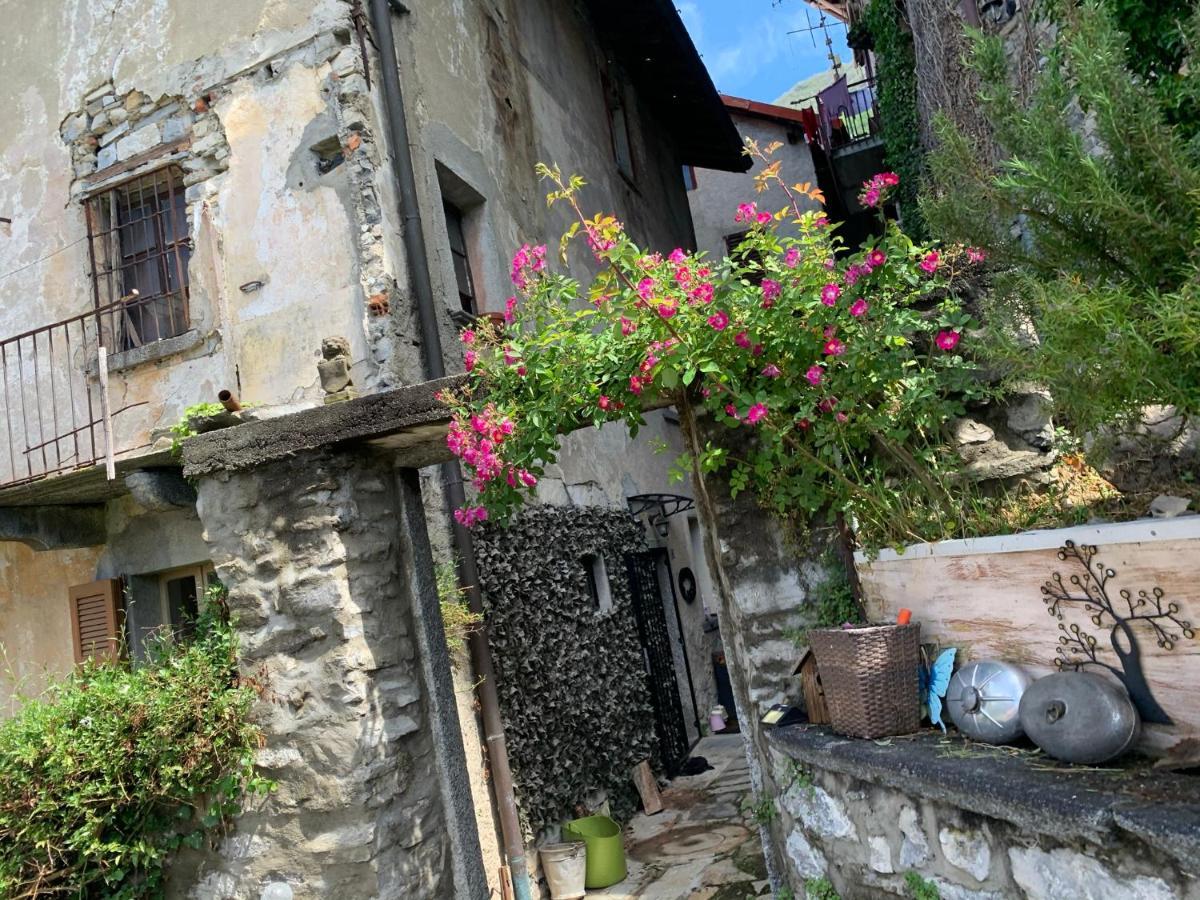 Apartment Casa Dono Il Lago Pognana Lario ภายนอก รูปภาพ