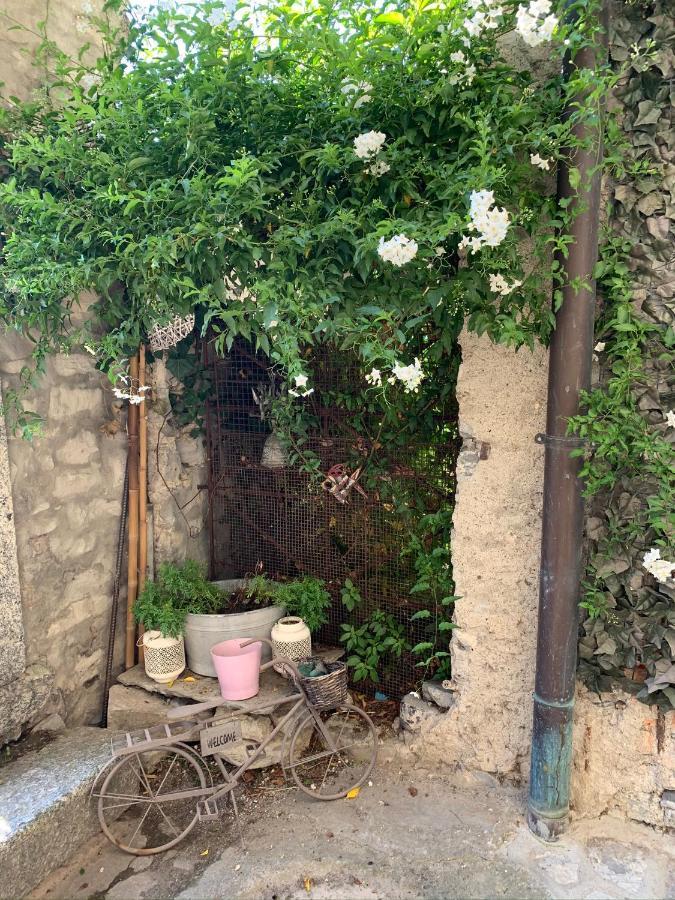 Apartment Casa Dono Il Lago Pognana Lario ภายนอก รูปภาพ